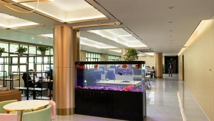 HOLYCOME office